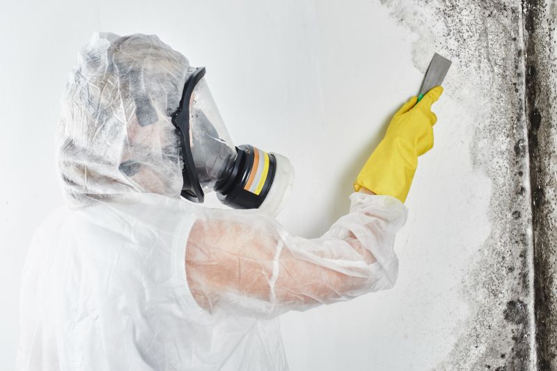 Remove Mold and Mildew